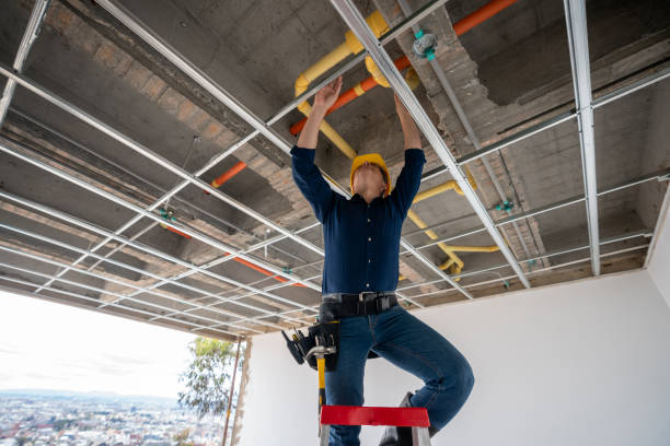 Best Local Plumber Services  in Pinewood, FL