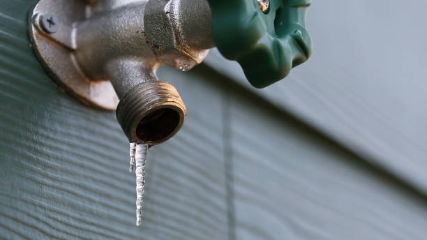 Best Sewer Line Repair  in Pinewood, FL